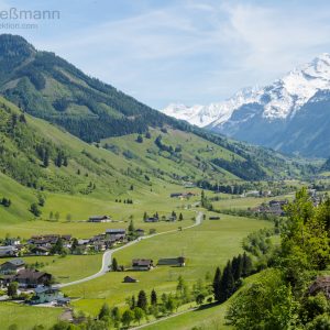 Panorama des Raurisertals mit Wald und Bergen