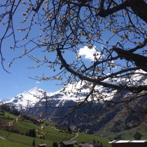 Das Raurisertal mit Bergen