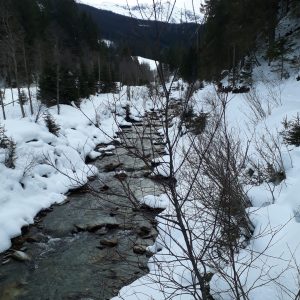 Schneebedeckter Flusslauf vor Alpenkulisse