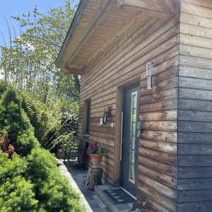 Eingangsbereich des Ferienhauses mit grüner Holztür und Pflanzen